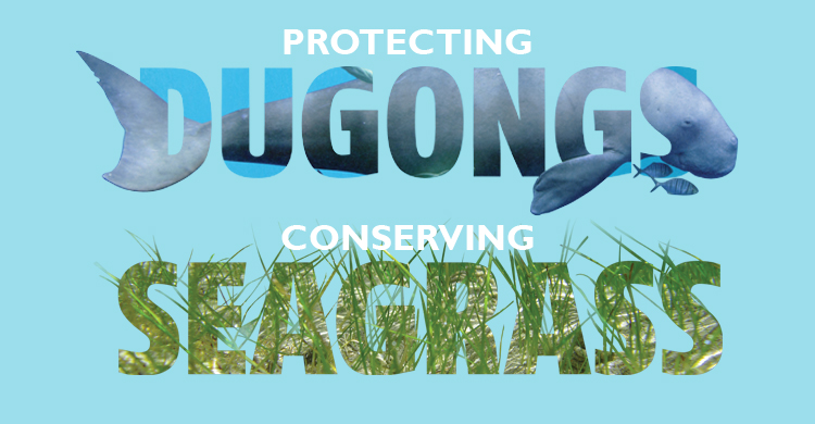 Seagrass and Dugong Technical Workshop