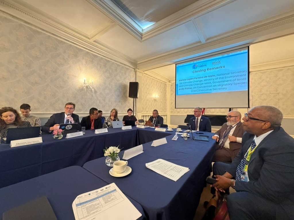 From New York to Antalya: Scaling Marine  Nature-Based Solutions through the Marine  Conservation Breakthroughs 
