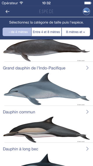 MObI - courtesy of the WWF New Caledonia Press Release