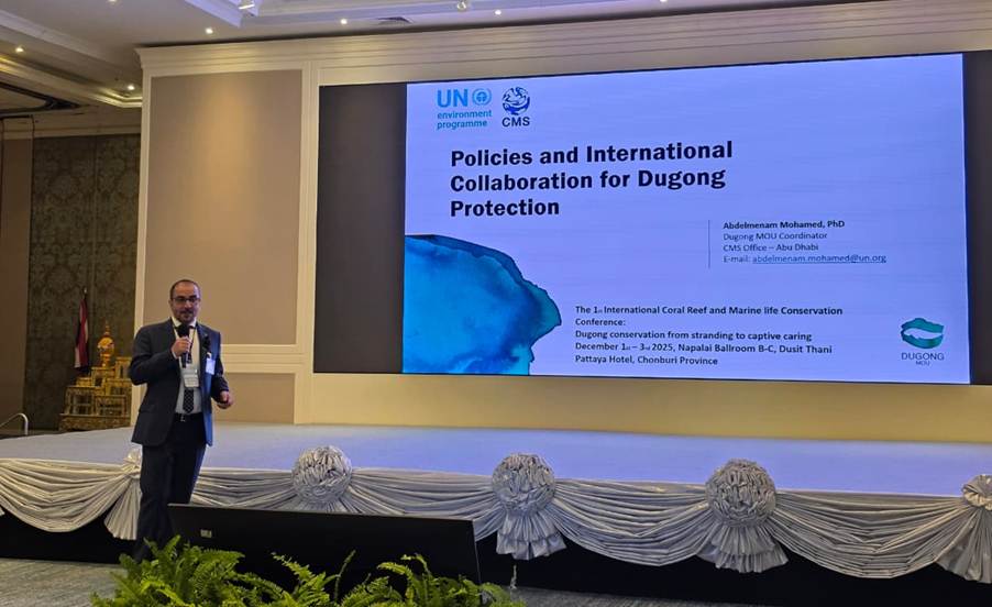 Mr. Abdelmenam Mohamed (CMS Dugong MOU) delivering a keynote on policy alignment and international collaboration for dugong protection.