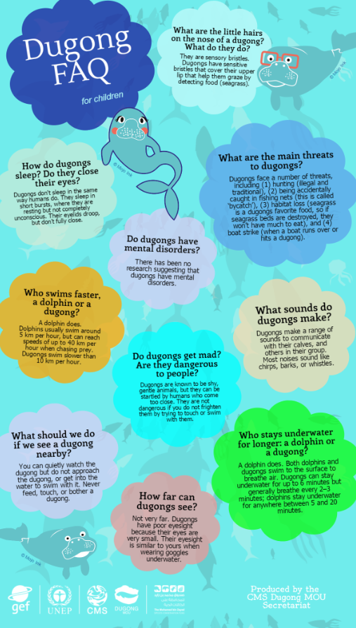 Dugong FAQ for Children