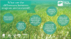 Infographic: Seagrass vs Seaweed
