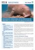 Dugong MOU Fact Sheet