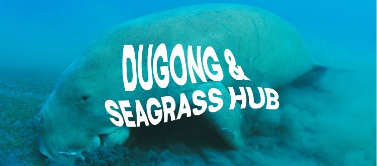 Dugong and Seagreass Hub Header Image