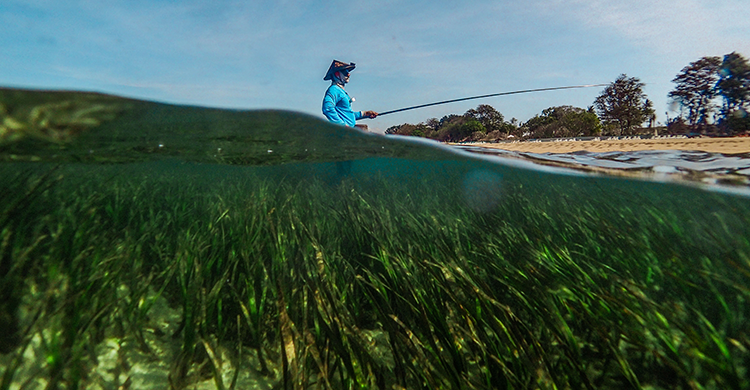 Seagrass and fisher